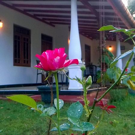 Danara Homestay Sigiriya Bagian luar foto