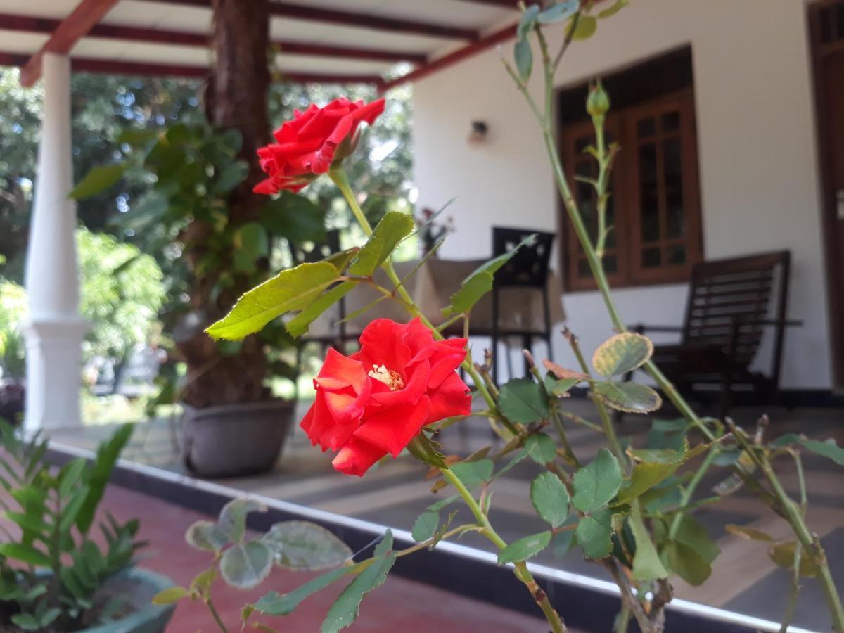 Danara Homestay Sigiriya Bagian luar foto
