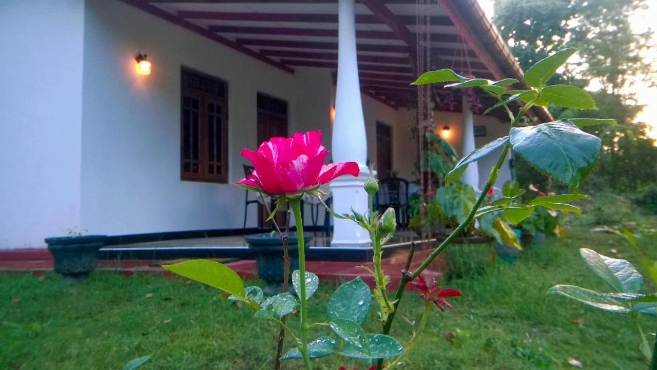 Danara Homestay Sigiriya Bagian luar foto